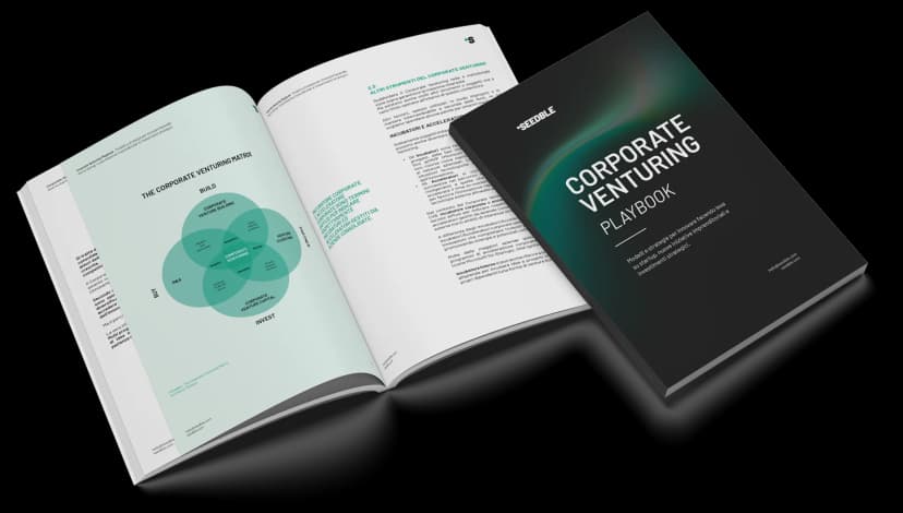 Mockup del white paper Progettare l'Impact Innovation